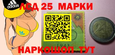 прущие грибы Кандалакша