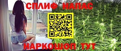 прущие грибы Кандалакша