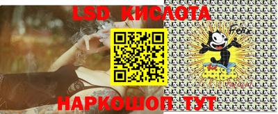 прущие грибы Кандалакша